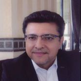 دکتر  امیررضا چمنی 
